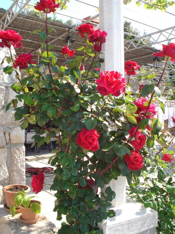 Tri Sestre Rooms Dubrovnik Ngoại thất bức ảnh